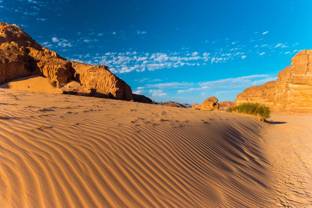 沙漠，地球上特殊的生态系统